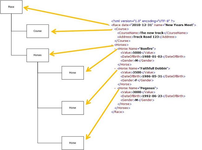 Basic XML structure